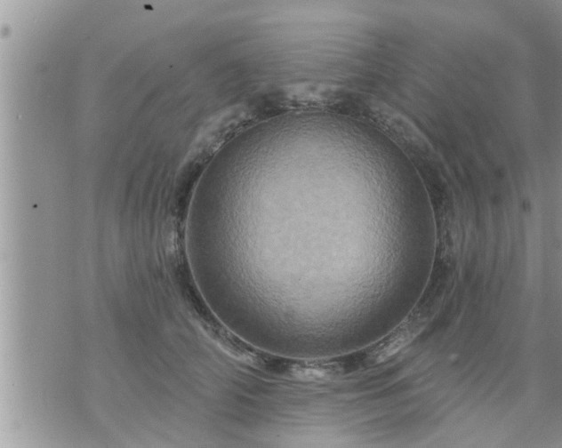 X0000073730706200608101930