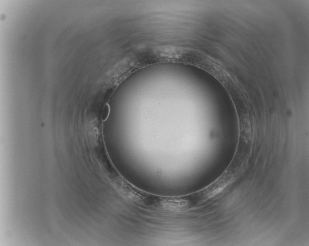 X0000073730707200608101930