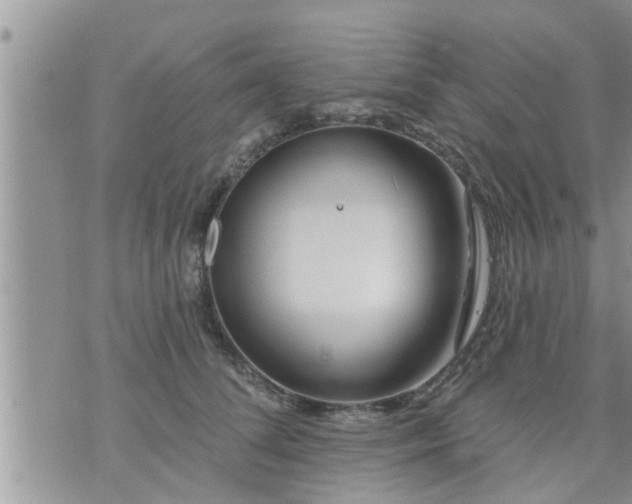 X0000073730708200608101930