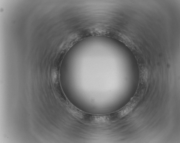 X0000073730709200608101930