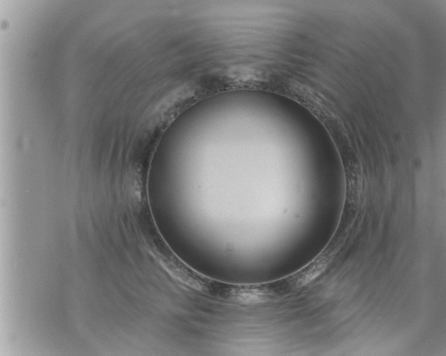 X0000073730710200608101930