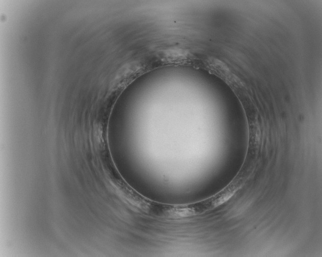 X0000073730711200608101930