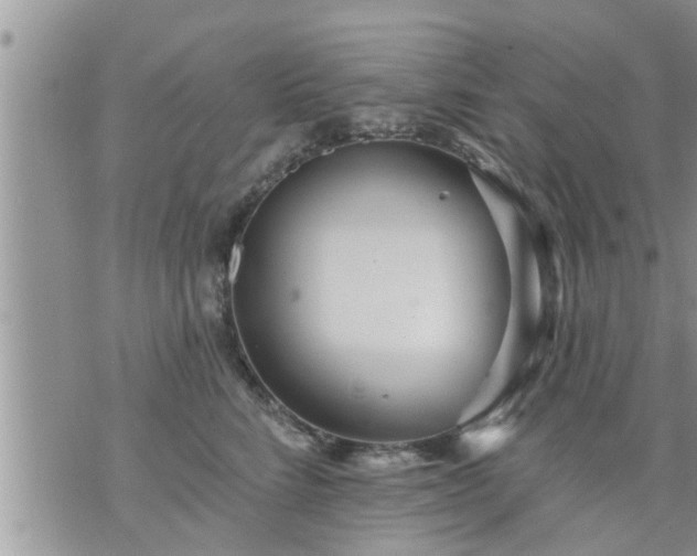 X0000073730712200608101930