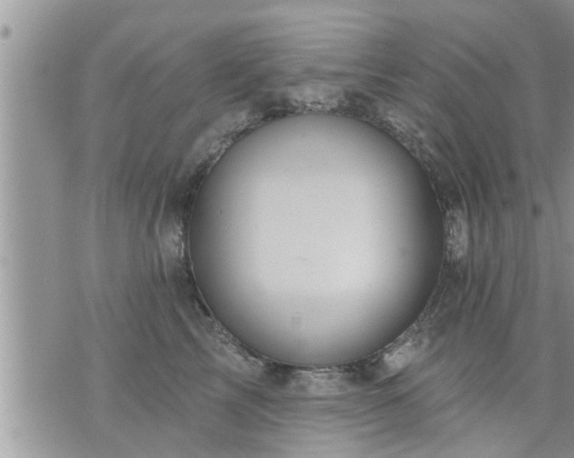 X0000073730713200608101930