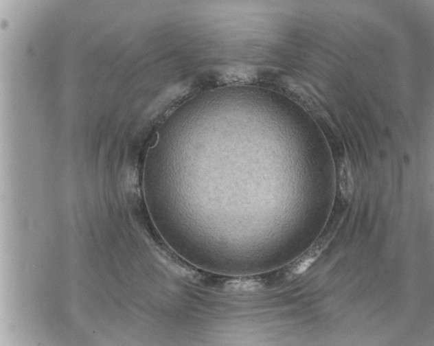 X0000073730714200608101930