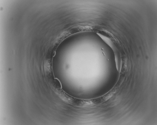 X0000073730715200608101930