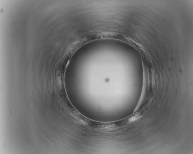 X0000073730716200608101930