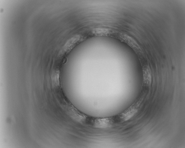 X0000073730717200608101930