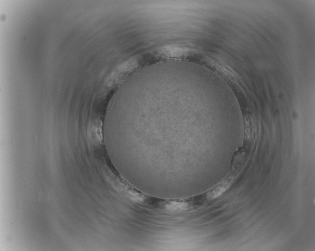 X0000073730718200608101930