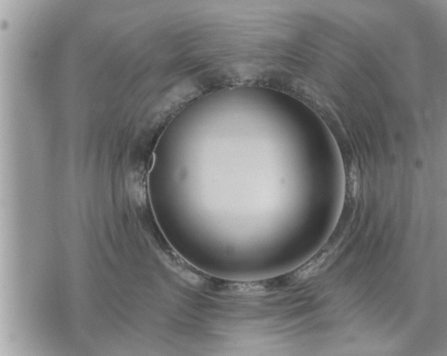 X0000073730719200608101930