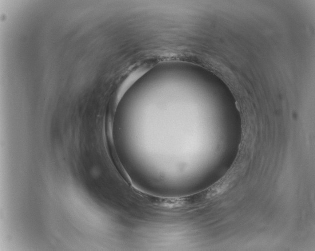 X0000073730720200608101930