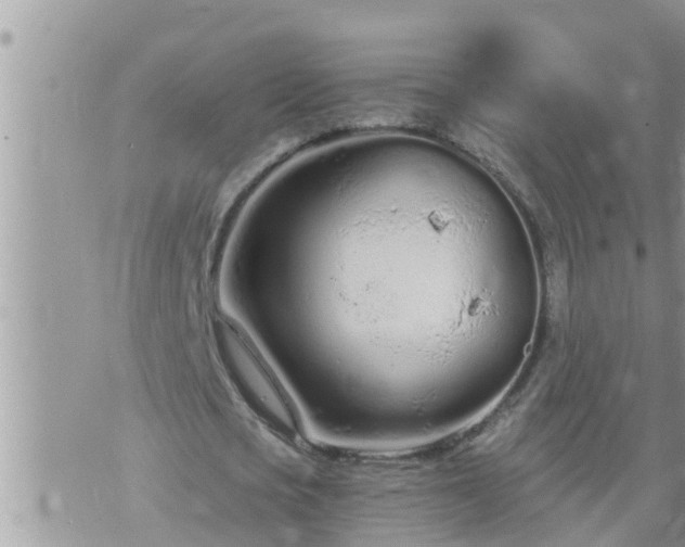 X0000073730721200608101929