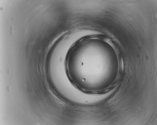 X0000073730722200608101929