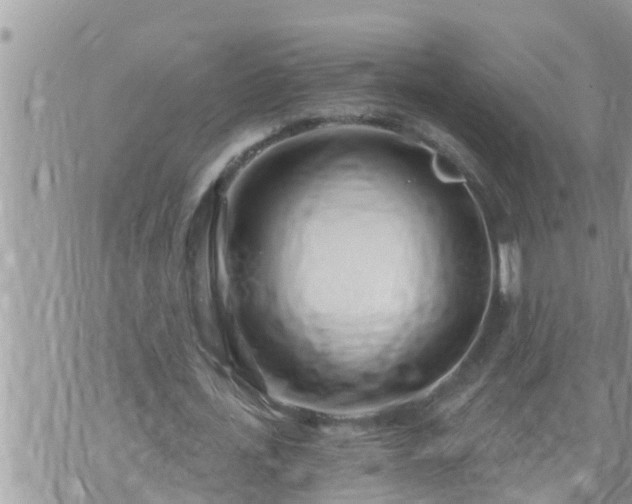 X0000073730723200608101929