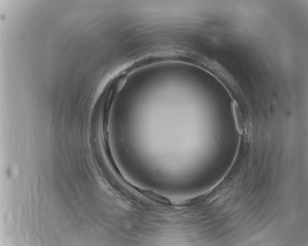 X0000073730724200608101929