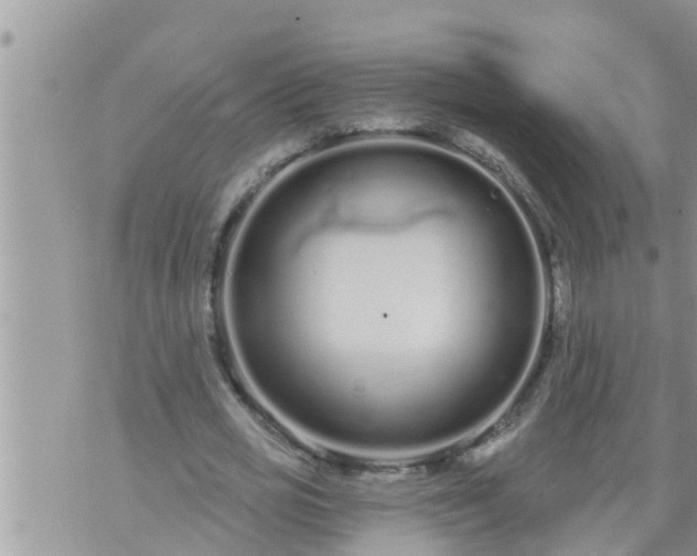 X0000073730725200608101929