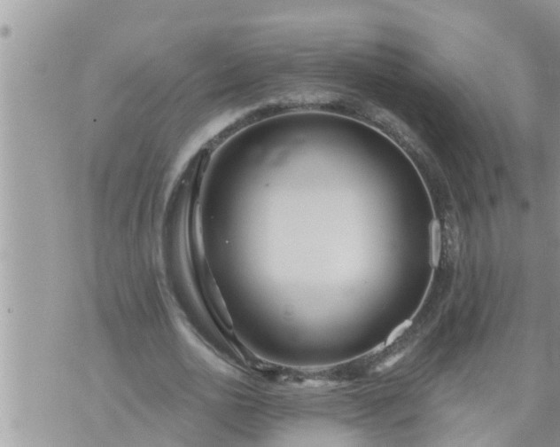 X0000073730726200608101929