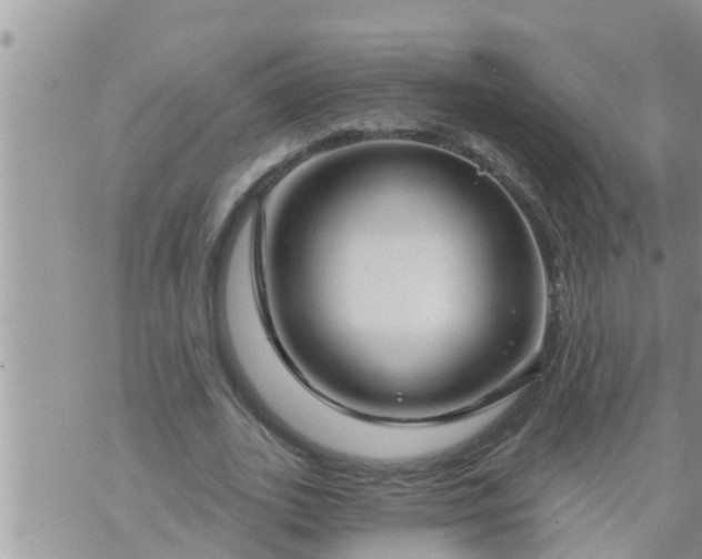 X0000073730727200608101929