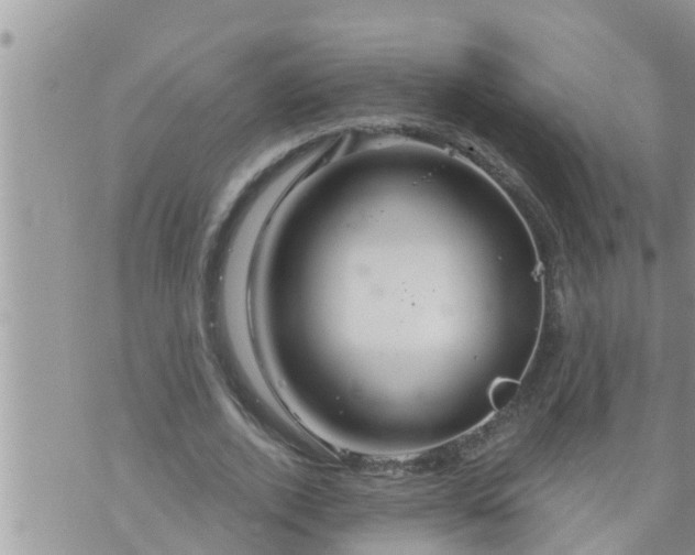 X0000073730728200608101929