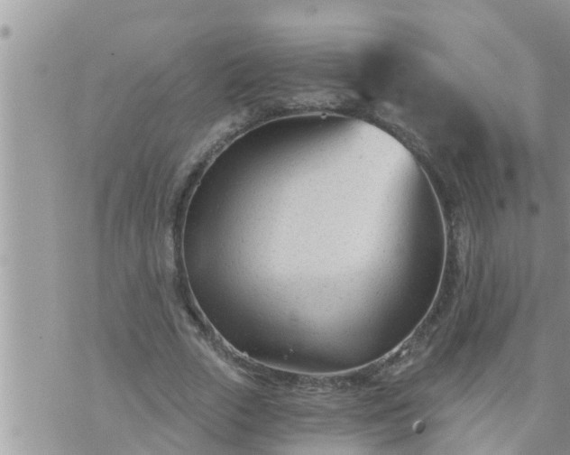 X0000073730729200608101929