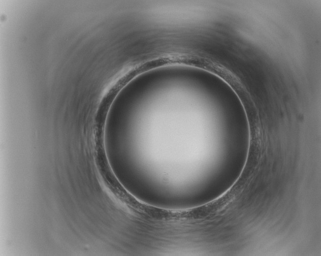 X0000073730730200608101929