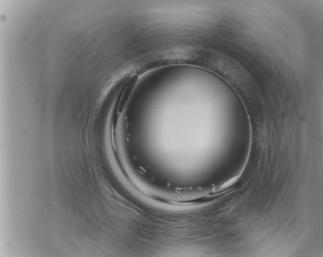 X0000073730731200608101929