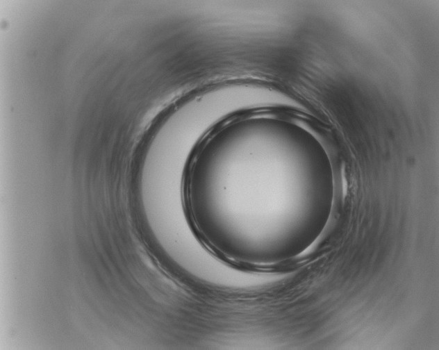 X0000073730732200608101929