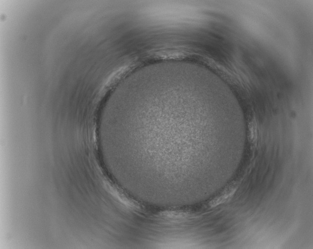 X0000073730733200608101929