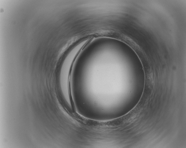 X0000073730734200608101929