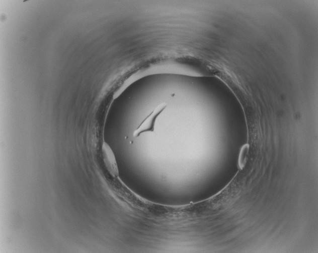 X0000073730736200608101929