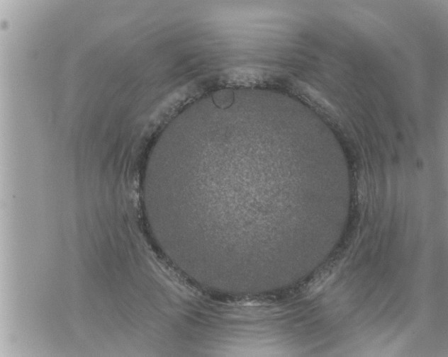 X0000073730737200608101929