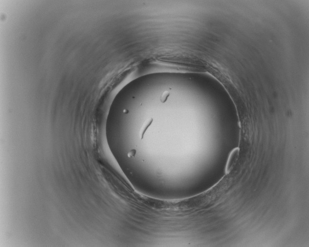 X0000073730740200608101929