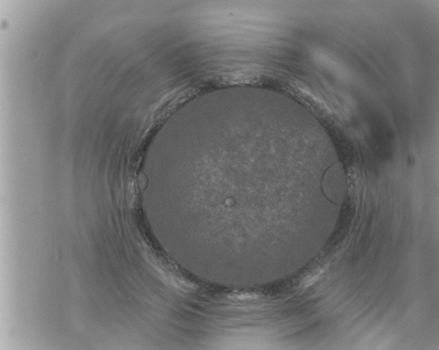 X0000073730741200608101929