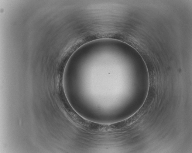 X0000073730742200608101929