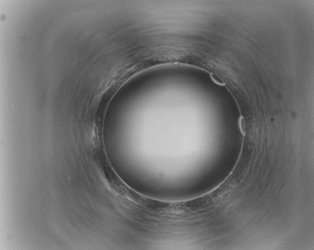 X0000073730743200608101929