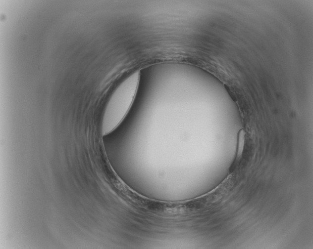 X0000073730744200608101929