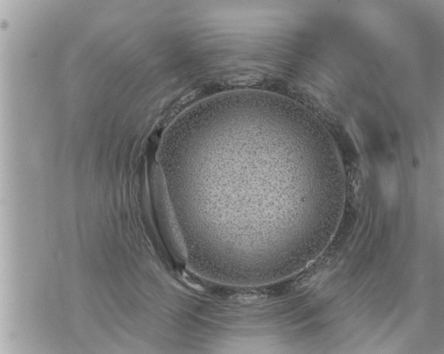 X0000073730745200608101929