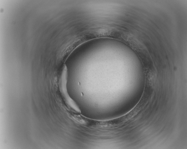 X0000073730746200608101929