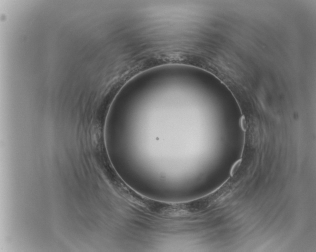 X0000073730747200608101929