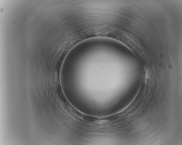 X0000073730748200608101929