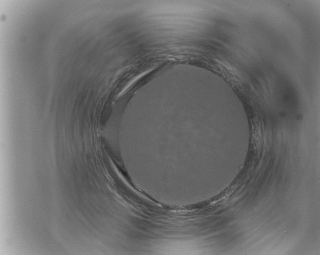 X0000073730749200608101929