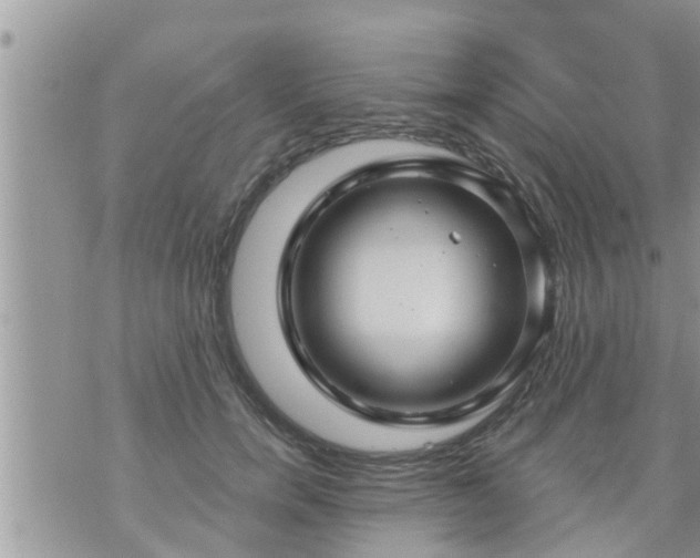 X0000073730750200608101929