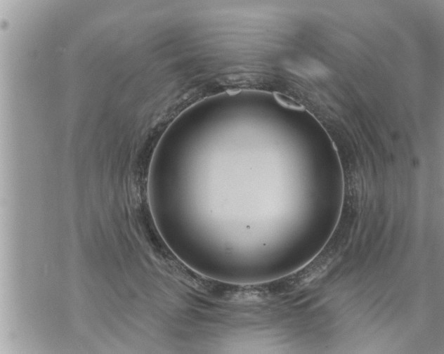 X0000073730751200608101929