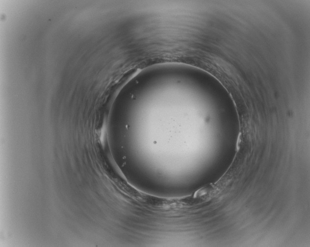 X0000073730752200608101929