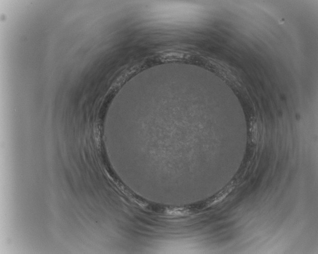 X0000073730753200608101929