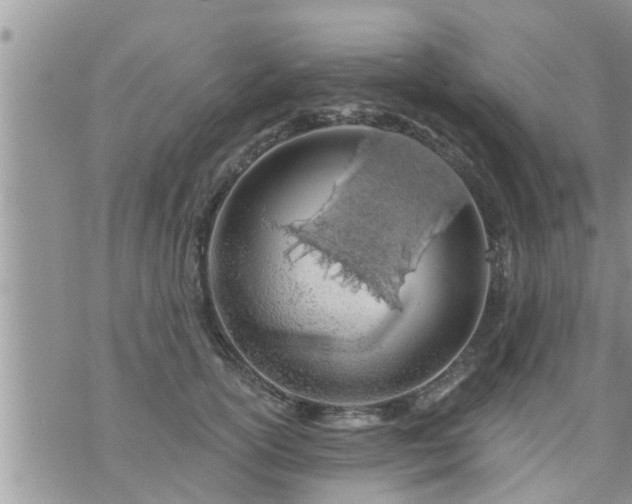 X0000073730754200608101929