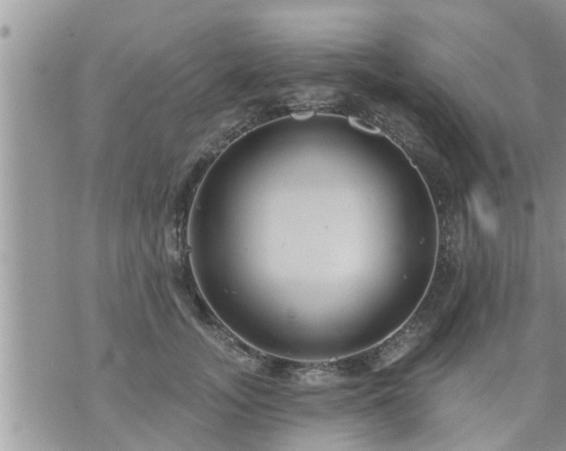 X0000073730755200608101929