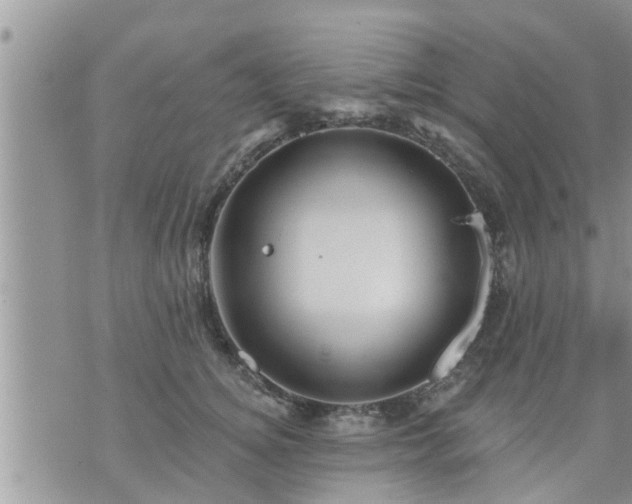 X0000073730756200608101929