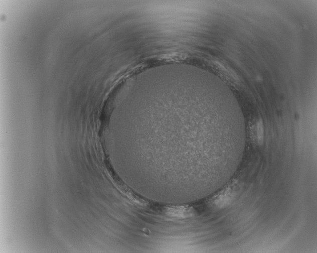 X0000073730757200608101929