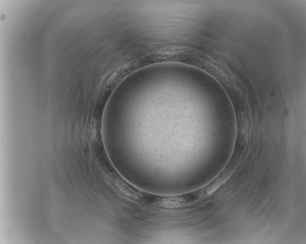 X0000073730758200608101929